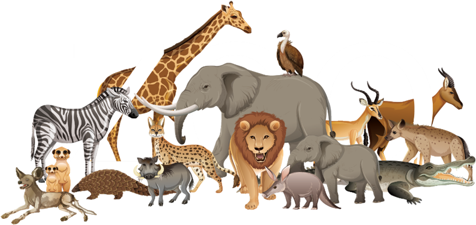 animals group